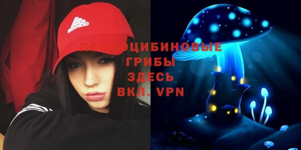 каннабис Лабытнанги