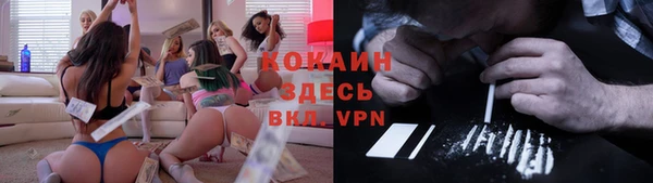 шишки Куйбышев