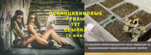 прущий лед Ладушкин