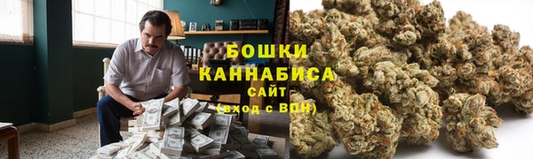 шишки Куйбышев