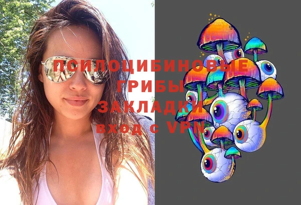 шишки Куйбышев
