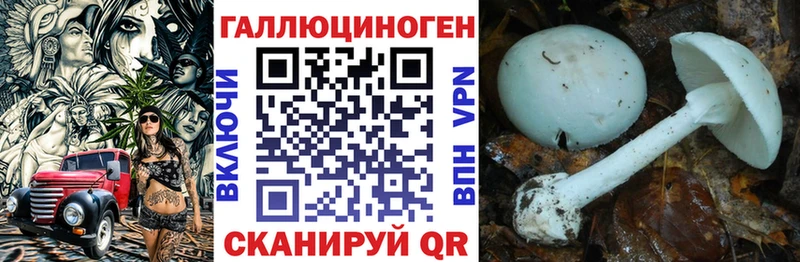 Купить  Крымск  Псилоцибиновые грибы мухоморы 