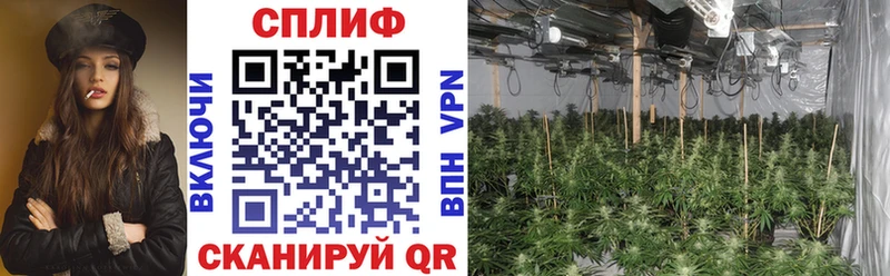 Бошки Шишки THC 21% Купить где Крымск